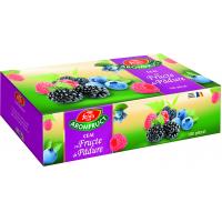 Ceai din fructe de padure 100plicuri FARES