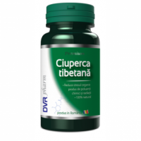 Ciuperca tibetana 60cps DVR PHARM