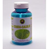 Coada calului 60cps HYPERICUM