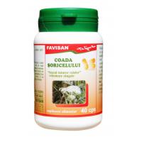Coada soricelului b009 40cps FAVISAN