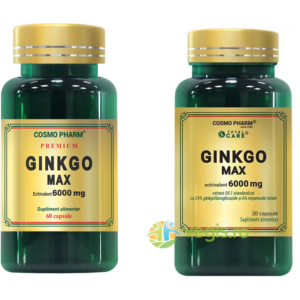 Pachet Ginkgo Max Extract 120mg Echivalent 6000mg 60cpr + 30cpr