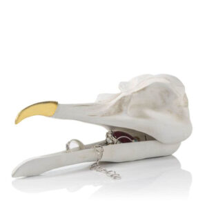 Cutie Bijuterii - Craniu de Pasăre