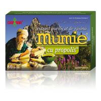 Extract de rasina mumie cu propolis-tablete 60tbl DAMAR