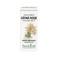 Extract din mladite de catina rosie - tamarix gallica mg=d1 50ml PLANTEXTRAKT