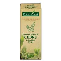 Extract din mladite de cedru - cedrus libani mg=d1 50ml PLANTEXTRAKT
