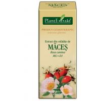 Extract din mladite de maces - rosa canina mg=d1 50ml PLANTEXTRAKT