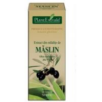 Extract din mladite de maslin - olea europaea mg=d1 50ml PLANTEXTRAKT