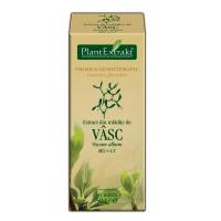 Extract din mladite de vasc - viscum album mg=c1 50ml PLANTEXTRAKT