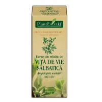 Extract din mladite de vita de vie salbatica - ampelopsis weitchii mg=d1 50ml PLANTEXTRAKT