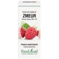 Extract din mladite de zmeur - rubus idaeus mg=d1 50ml PLANTEXTRAKT
