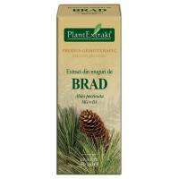 Extract din muguri de brad - abies pectinata mg=d1 50ml PLANTEXTRAKT