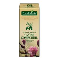 Extract din muguri de castan comestibil - castanea vesca mg=d1 50ml PLANTEXTRAKT