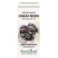 Extract din muguri de coacaz negru - ribes nigrum mg=d1 50ml PLANTEXTRAKT