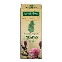 Extract din muguri de jneapan - pinus montana mg=d1 50ml PLANTEXTRAKT