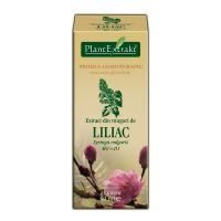 Extract din muguri de liliac - syringa vulgaris mg=d1 50ml PLANTEXTRAKT