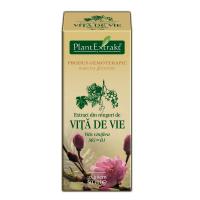 Extract din muguri de vita de vie - vitis vinifera mg=d1 50ml PLANTEXTRAKT