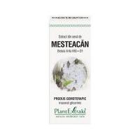 Extract din seva de mesteacan - betula linfa mg=d1 50ml PLANTEXTRAKT