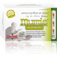 Extract purificat de rasina mumie cu propolis-capsule 60cps DAMAR