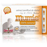 Extract purificat de rasina mumie 100% natural-capsule 60cps DAMAR