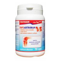 Faviartrosan b091 70cps FAVISAN
