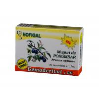 Gemoderivat din muguri de porumbar - monodoze 30buc HOFIGAL