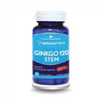 Ginkgo 120 + stem 60cps HERBAGETICA
