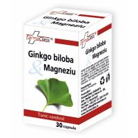 Ginkgo biloba & magneziu 40cps FARMACLASS