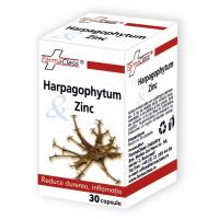 Harpagophytum & zinc 40cps FARMACLASS