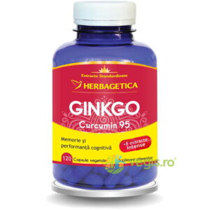 Ginkgo Curcumin 95 120cps