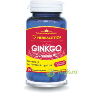 Ginkgo Curcumin 95 60cps