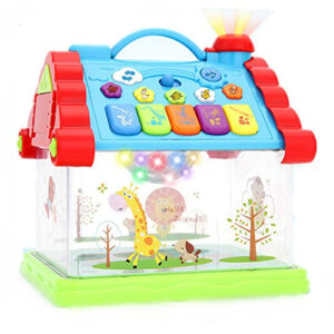 Jucarie interactiva - Casuta magica cu lampa de veghe (TIP PRODUS: Jucarii)