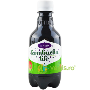 Kombucha Life cu Ghimbir Ecologic/Bio 330ml