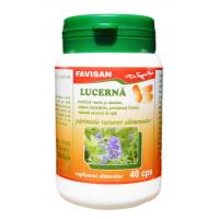 Lucerna b021 40cps FAVISAN