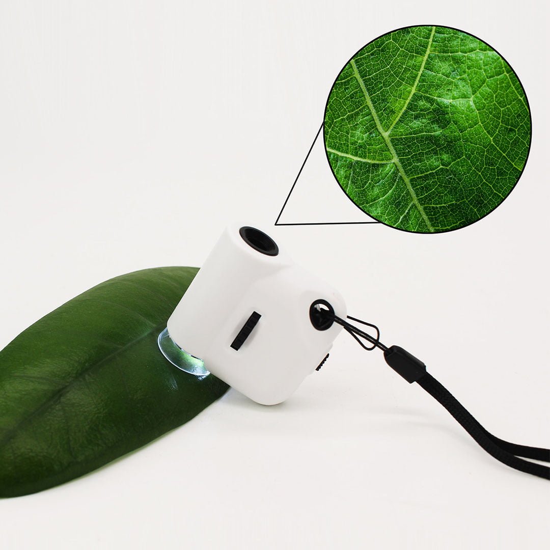 Lupa tip Microscop Portabil