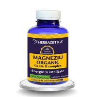 Magneziu organic cu vitamina b complex 120cps HERBAGETICA