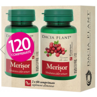 Merisor 120cpr DACIA PLANT