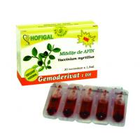 Gemoderivat din mladite de afin - monodoze 30buc HOFIGAL