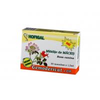 Gemoderivat din mladite de maces - monodoze 30buc HOFIGAL