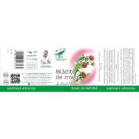 Mladite de zmeur 60cps PRO NATURA