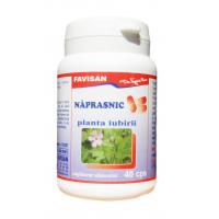 Napraznic b084 40cps FAVISAN