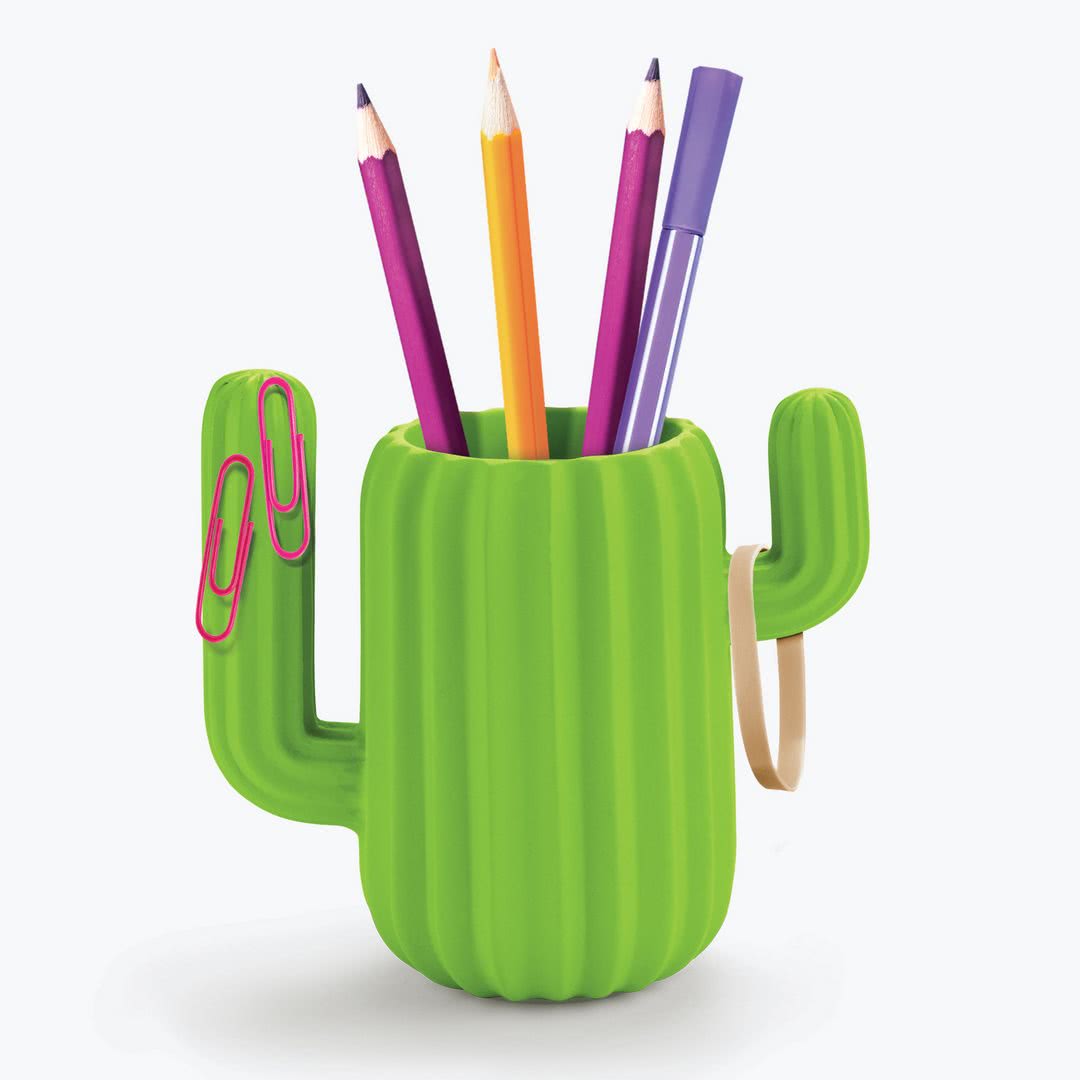 Organizator Birou Cactus