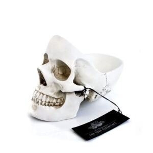 Organizator pentru Birou - Craniu