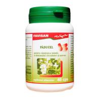 Paducel b029 40cps FAVISAN