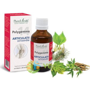 Polygemma 14 (Articulatii-Detoxifiere) 50ml
