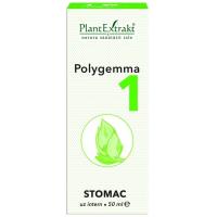 Polygemma 1 - stomac 50ml PLANTEXTRAKT