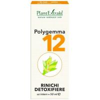 Polygemma 12 - rinichi detoxifiere 50ml PLANTEXTRAKT