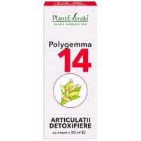 Polygemma 14 - articulatii detoxifiere 50ml PLANTEXTRAKT