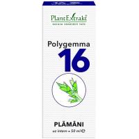 Polygemma 16 - plamani 50ml PLANTEXTRAKT