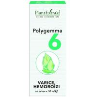 Polygemma 6 - varice, hemoroizi 50ml PLANTEXTRAKT