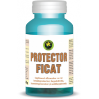 Protector ficat 60cps HYPERICUM